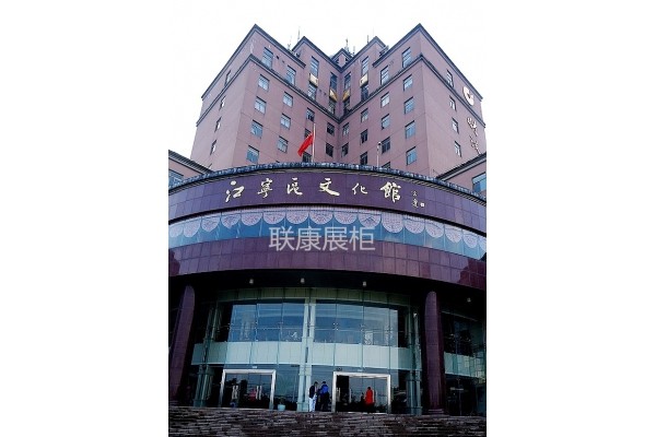 南京江宁区文化馆项目