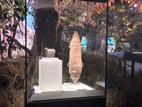 文物展柜图片欣赏 恒温恒湿文物展柜